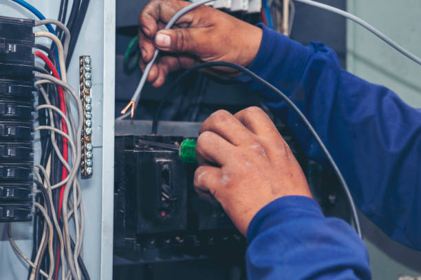Best Electric Panel Repair  in Pendleton, SC